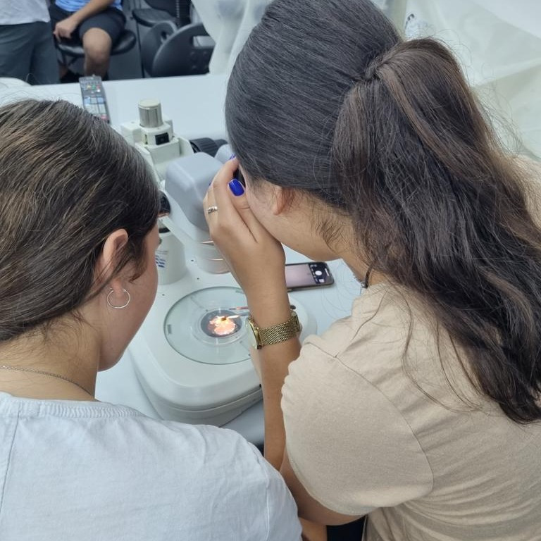 microscope pupils