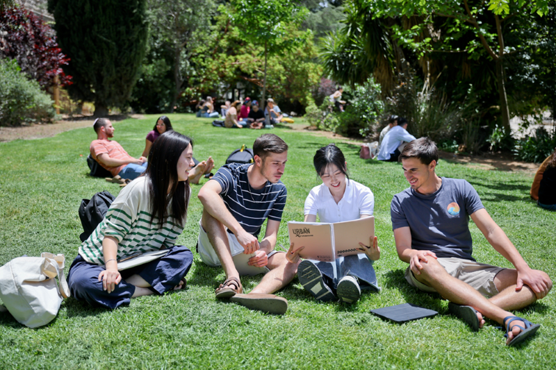 happy students on lawn huji