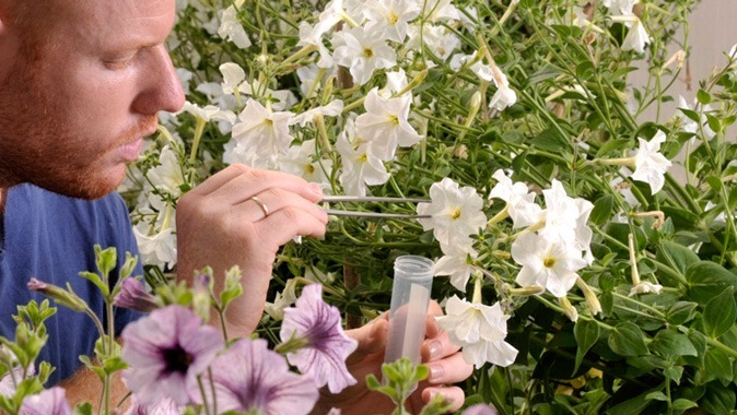 Horticilture