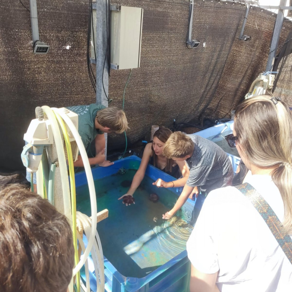 marine life pupils huji