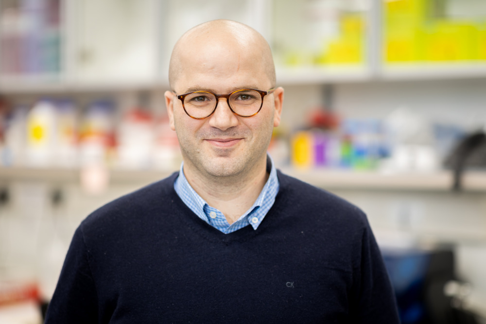 dr haitham amal huji