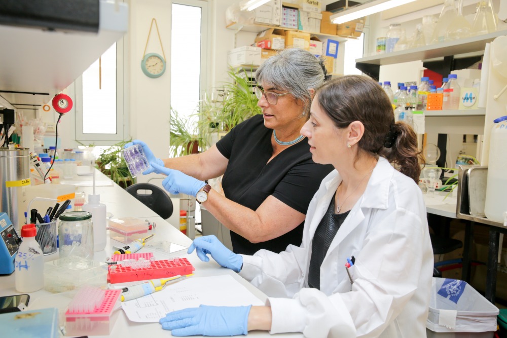 bio-medical_sciences.HUJI