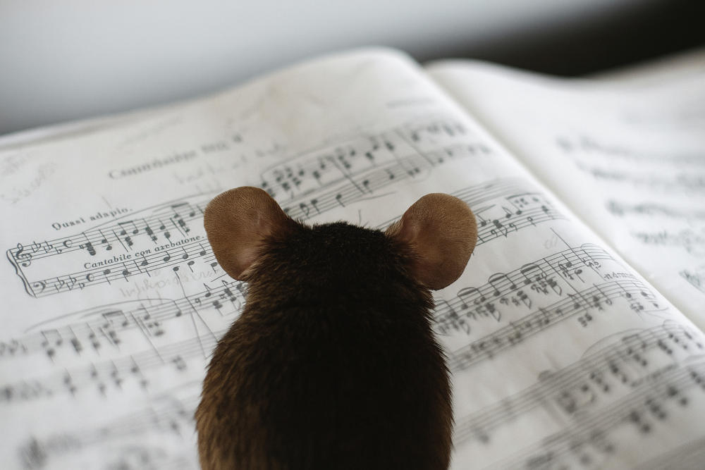 Mouse with Music