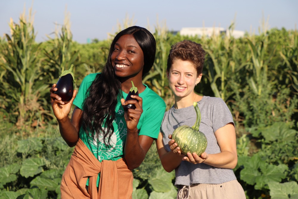 MSc in Soil and Water Sciences