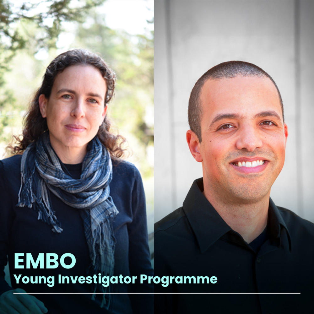 huji researchers in young investigator programme embo