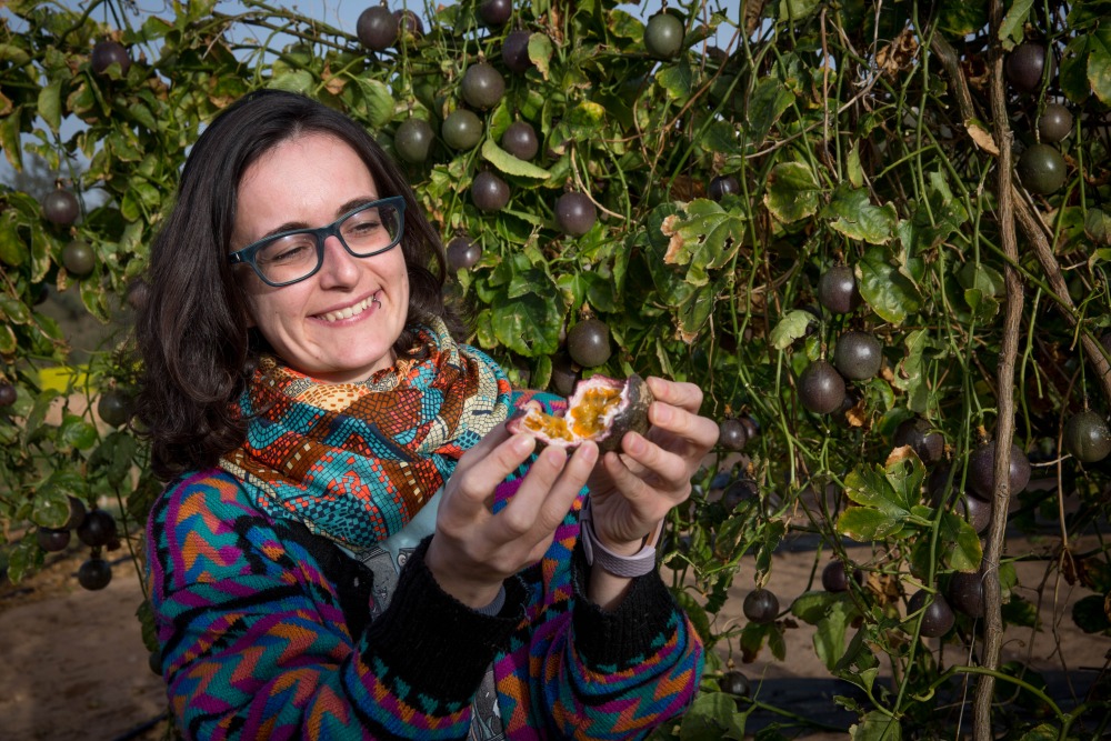MSc in Nutritional Sciences