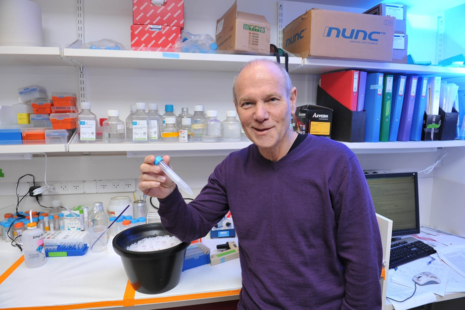 prof ben neriah