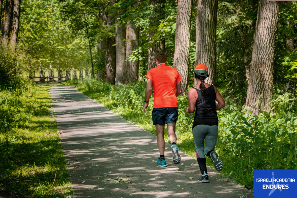 couple running together in forest