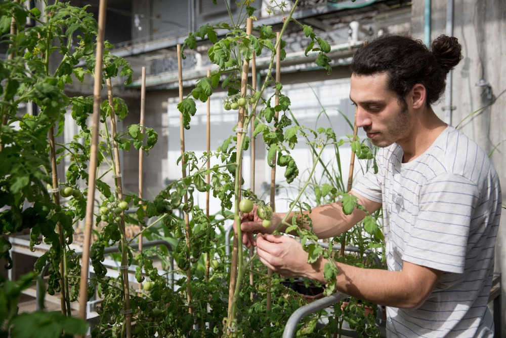 Plant Health