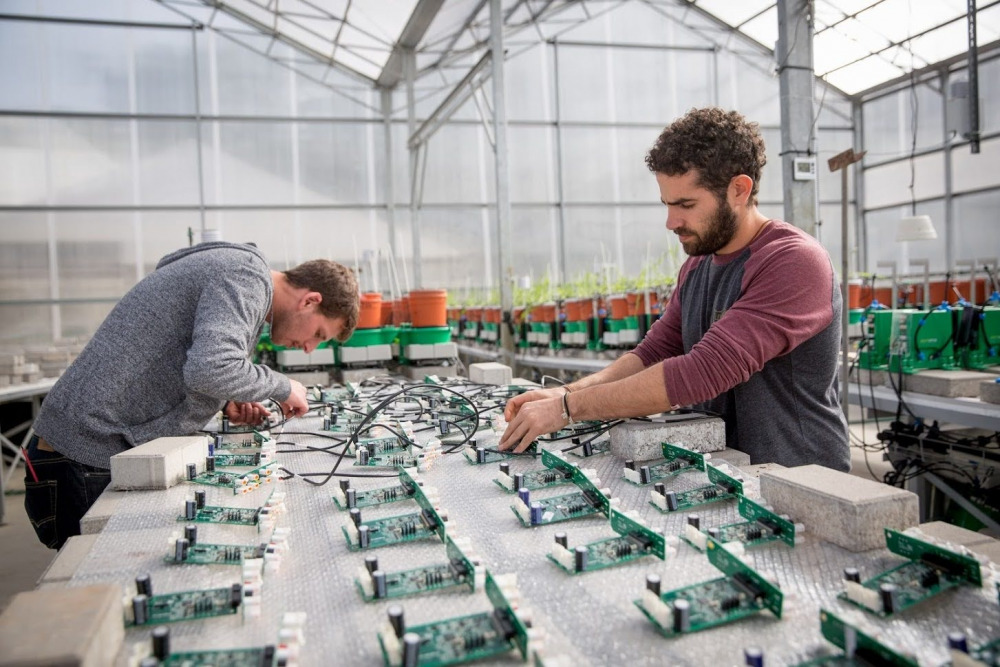 Agriculture schor