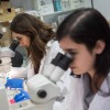 International Researchers